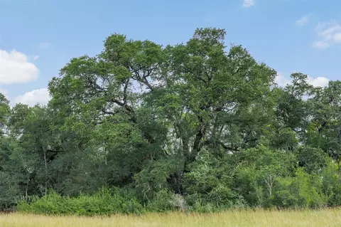 Other - 000 Schuster Rd, Round Top, TX 78954 photo 2 of 21