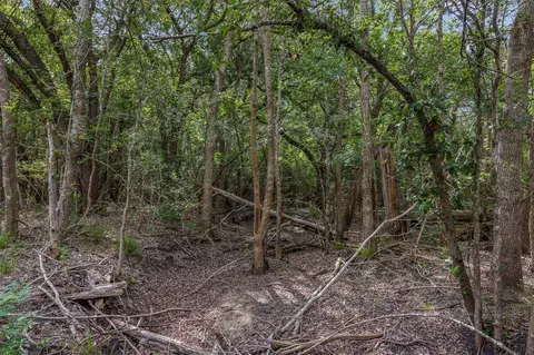 Other - 000 Schuster Rd, Round Top, TX 78954 photo 9 of 21