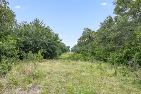 Other - 000 Schuster Rd, Round Top, TX 78954 photo 10 of 21