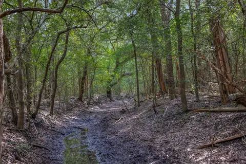 Other - 000 Schuster Rd, Round Top, TX 78954 photo 5 of 21