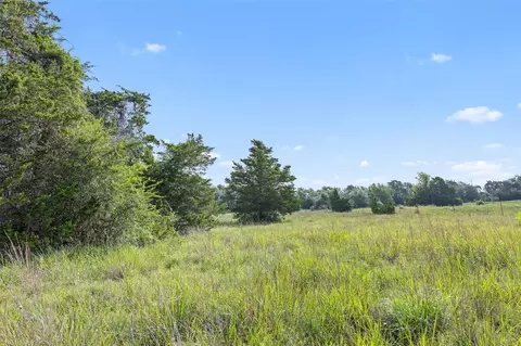 Other - 000 Schuster Rd, Round Top, TX 78954 photo 13 of 21
