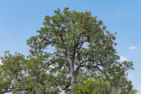 Other - 000 Schuster Rd, Round Top, TX 78954 photo 7 of 21