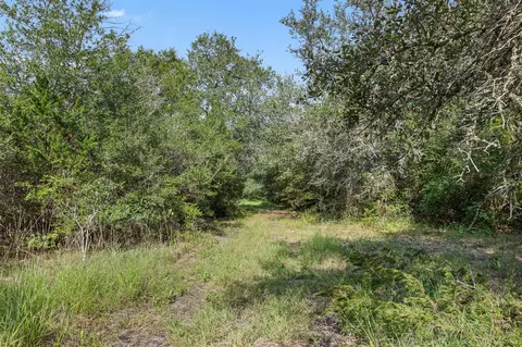 Other - 000 Schuster Rd, Round Top, TX 78954 photo 14 of 21