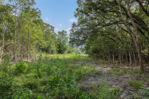 Other - 000 Schuster Rd, Round Top, TX 78954 photo 11 of 21