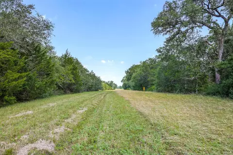 Other - 000 Schuster Rd, Round Top, TX 78954 photo 6 of 21