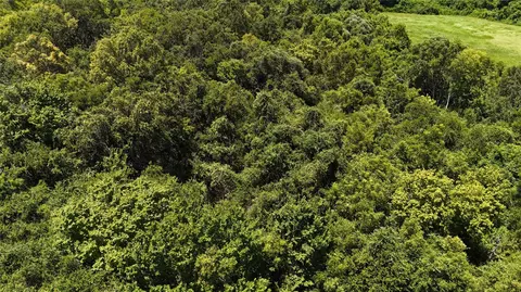 tbd County Road 42 Lots 2a5-2a6, Rosharon, TX 77583