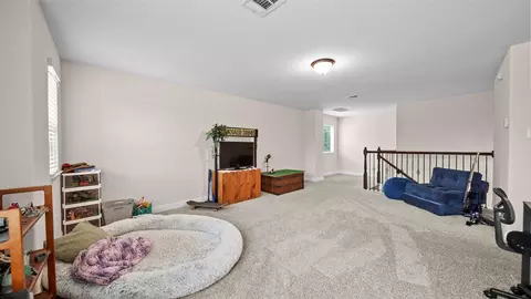 Other - 23834 Willow Haven Dr, Spring, TX 77389 photo 9 of 10