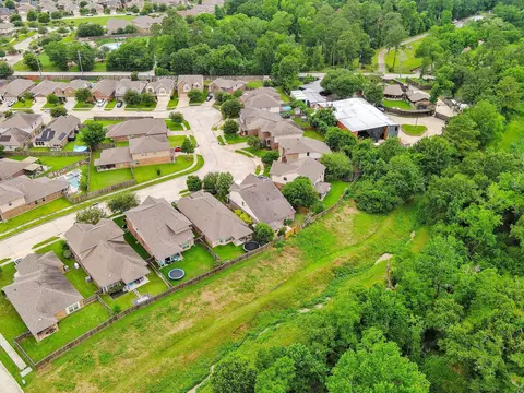 View/Area - 23834 Willow Haven Dr, Spring, TX 77389 photo 7 of 10