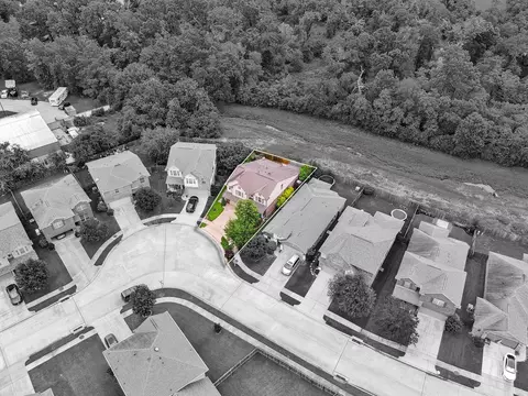View/Area - 23834 Willow Haven Dr, Spring, TX 77389 photo 4 of 10