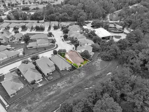 View/Area - 23834 Willow Haven Dr, Spring, TX 77389 photo 6 of 10