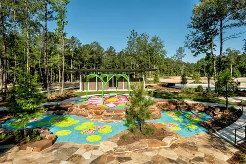 View/Area - 15664 Broadway Bend Dr, Conroe, TX 77302 photo 4 of 5