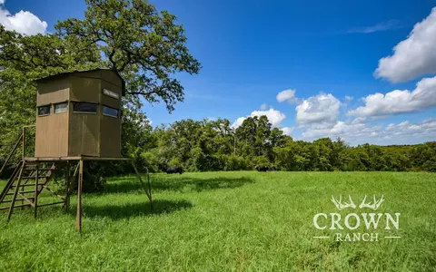 tbd Fm 908 - 1057 Acres, Caldwell, TX 77836