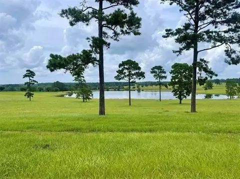lot234 Lakeland Rnch, Hillister, TX 77624