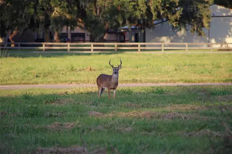 113 Pony Trl, Angleton, TX 77515 photo 7