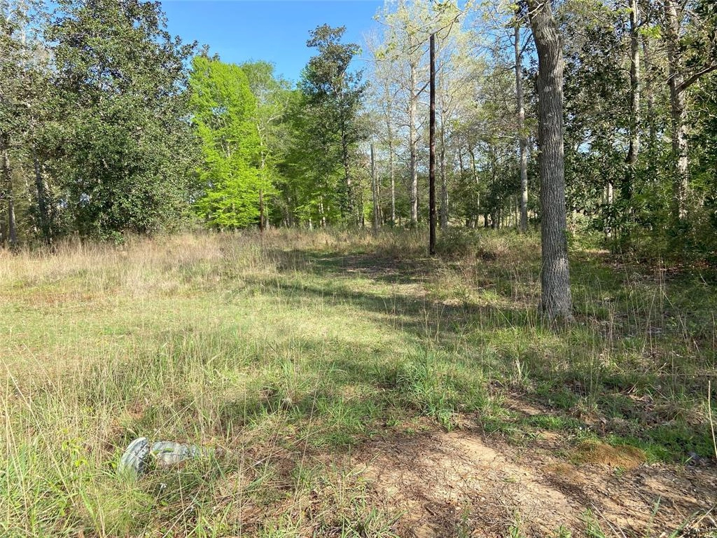 1379 Outlaw Bnd Rd  
