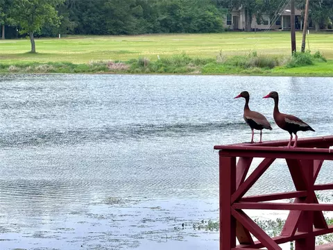 View/Area - 41 Bluebird Ln, Trinity, TX 75862 photo 1 of 1