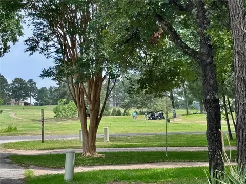 Other - 41 Bluebird Ln, Trinity, TX 75862 photo 9 of 9