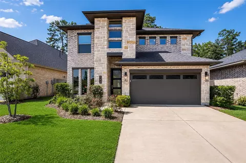 147 Harlequin Duck Ct, Magnolia, TX 77354
