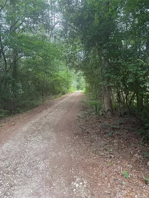 tbd Bilnoski Rd, Willis, TX 77378 photo 6
