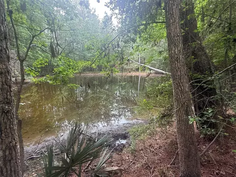 tbd Bilnoski Rd, Willis, TX 77378 photo 5