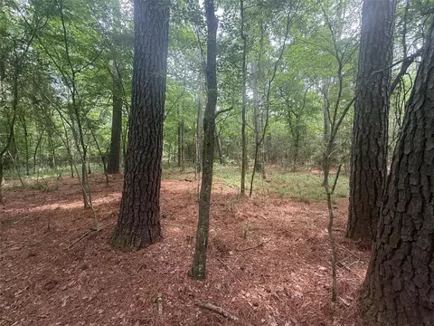 tbd Bilnoski Rd, Willis, TX 77378 photo 2