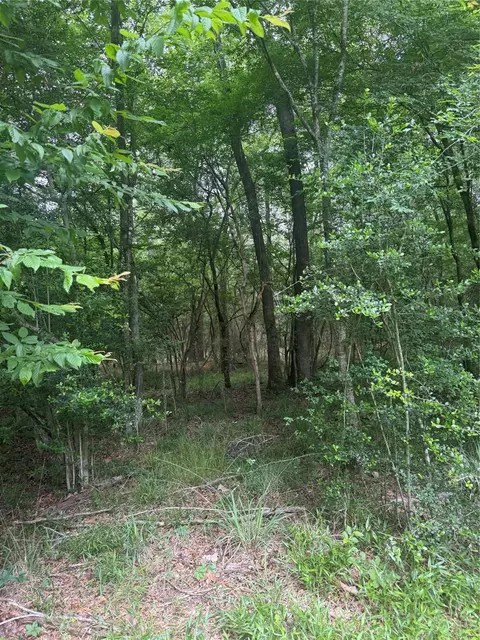 tbd Bilnoski Rd, Willis, TX 77378