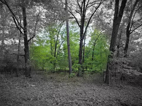 tbd Lot 25 Bending Oaks Ln, Livingston, TX 77351