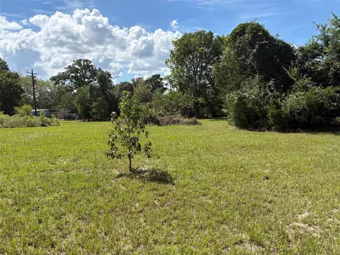 139 Tranquility Dr, Trinity, TX 75862 photo 23