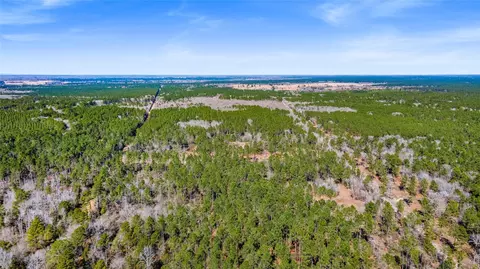 tbd Bo Brown, Trinity, TX 75862 photo 4