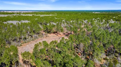 tbd Bo Brown, Trinity, TX 75862 photo 6