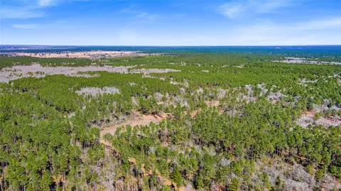 tbd Bo Brown, Trinity, TX 75862 photo 3