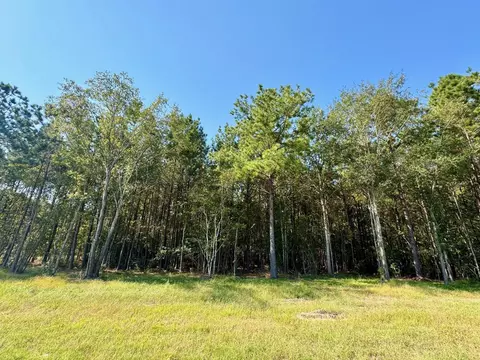 tbd Stonebrook Dr, Livingston, TX 77351