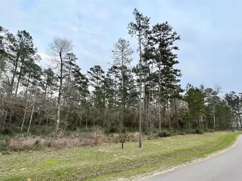tbd 6 Lily Bean Rd, Montgomery, TX 77316