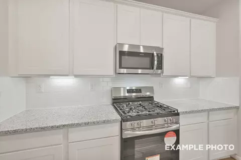 Other - 229 E Canopy Crossing Cir, Conroe, TX 77301 photo 3 of 15