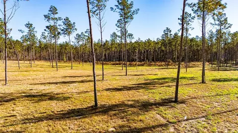 lot19 Big Buck Dr, Moscow, TX 75960