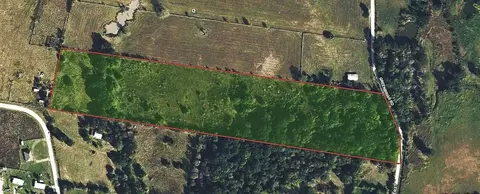 13 Acres Greenbriar Rd, Madisonville, TX 77864