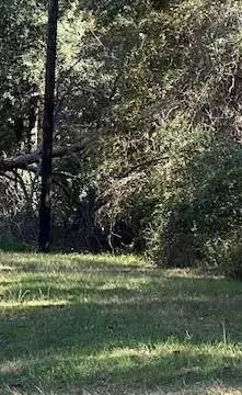 lot24 Clark Rd, Plantersville, TX 77363