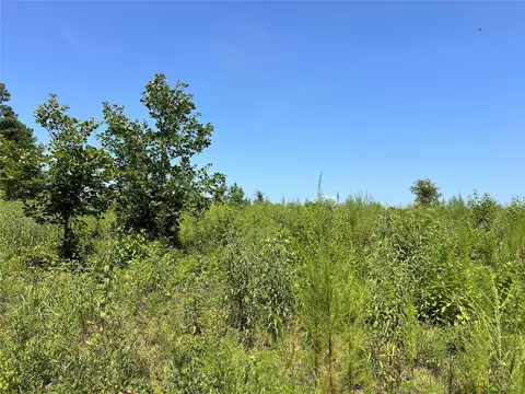 tbd 14 Upper Leggett Rd, Leggett, TX 77350