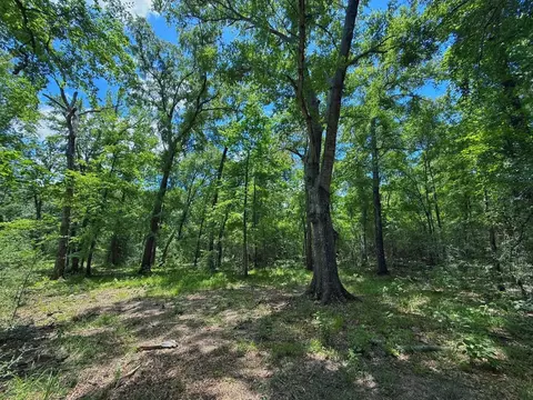 tbd Cr 296, Oakwood, TX 75855