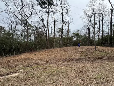 lot69 Wildwood Harbor Cir, Onalaska, TX 77360