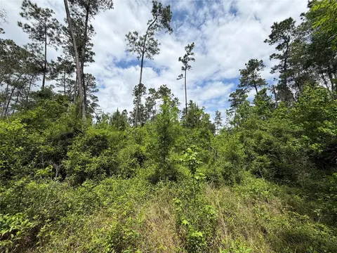 tbd Kelly Rd, Thicket, TX 77374