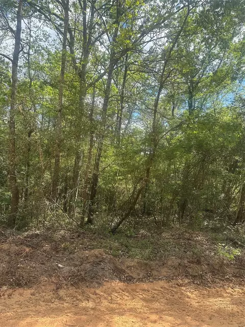 00 Patricia Dr, Livingston, TX 77351