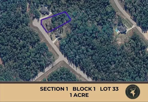 147 Eagle Run Rd, Willis, TX 77378
