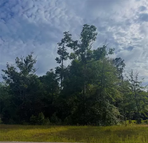 147 Eagle Run Rd, Willis, TX 77378 photo 3