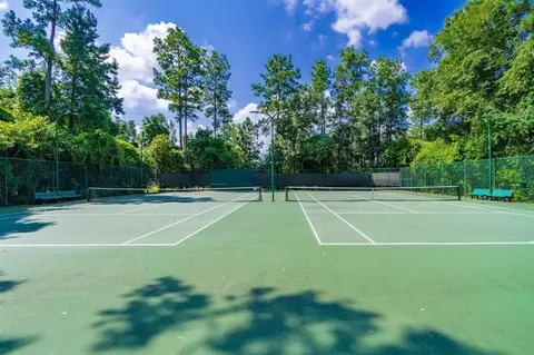 Other - 31502 Silverton Star Ct, Spring, TX 77386 photo 12 of 12