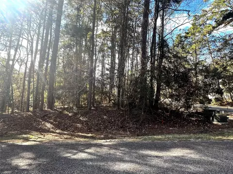 179 Green Tree Dr, Coldspring, TX 77331