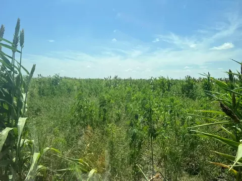 Other - 3000 County Road 352, Bartlett, TX 76511 photo 7 of 10