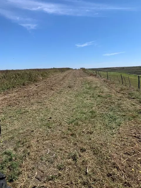 Other - 3000 County Road 352, Bartlett, TX 76511 photo 5 of 10