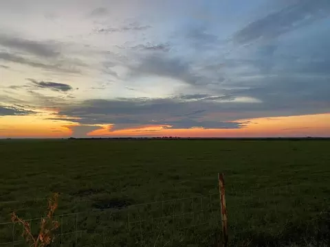 Other - 3000 County Road 352, Bartlett, TX 76511 photo 2 of 10