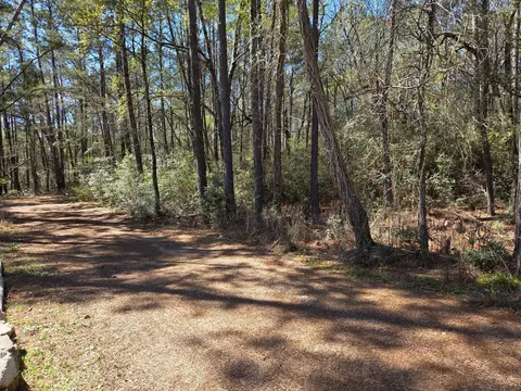 lot19 Hackberry Dr, Plantersville, TX 77363
